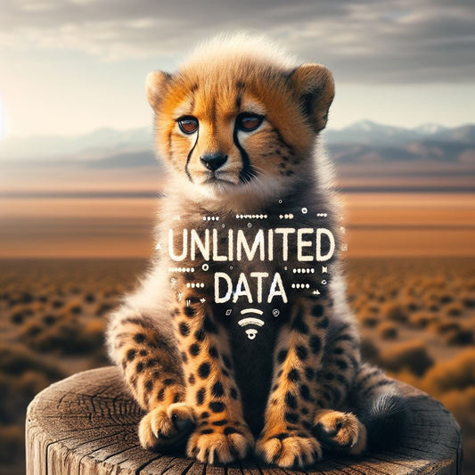 5G Data Only 💳 - 30 Days - T-Mobile Unlimited Data SIM